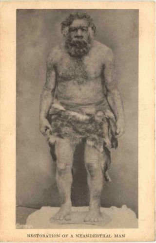 Chicago - Field Museum - Neanderthal Man