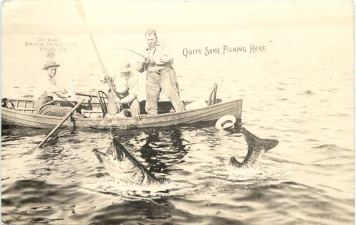 Quite some Fishing here