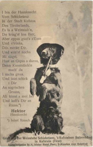 Kufstein - Gruss aus der Weinstube Schicketanz - Hund