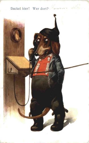 Hund in Kleidung - Dackel hier!