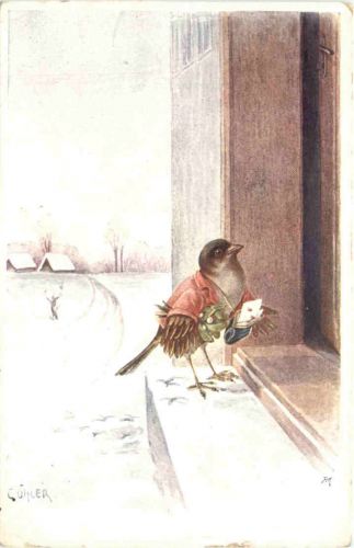 Künstler AK C- Öhler - Vogel