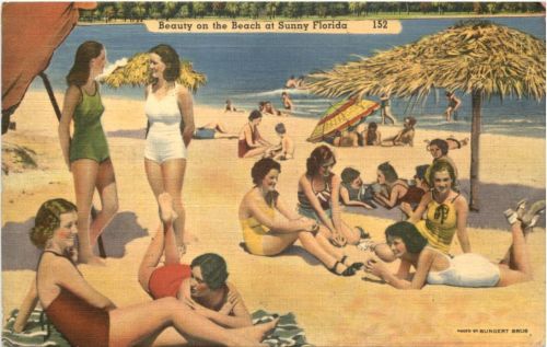 Beauty on the Beach at Sunny Florida