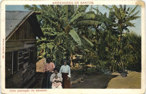 Brazil - Arredores de Santos