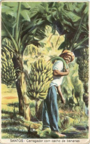 Brazil - Santos - Carregador com cacho de bananas