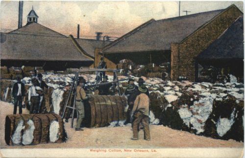 New Orleans - Weighing Cotton