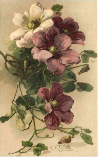 Künstler AK Catherina Klein