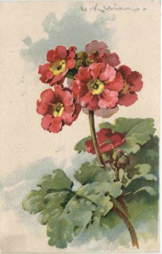 Künstler AK Catherina Klein