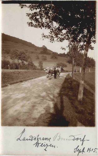 Landstrasse Bonndorf - Weizen