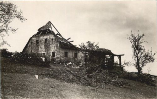 Freuenau - Orkanschäden