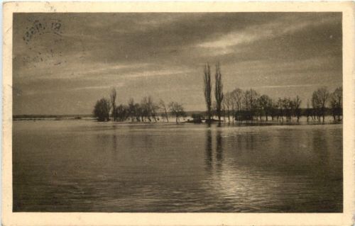 Regnitz bei Erlangen - Überschwemmung