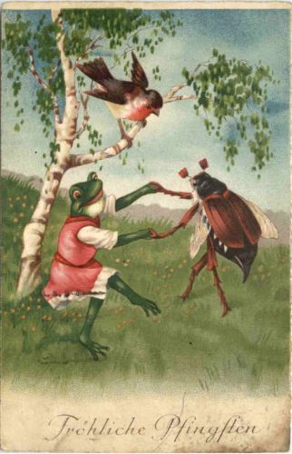 Frosch und Maikäfer