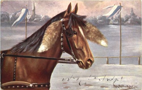 Pferd