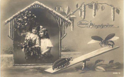 Pfingsten - Maikäfer