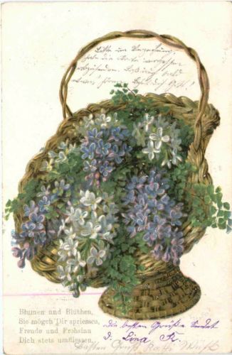 Blumen - Flieder