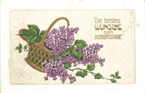 Blumen - Flieder
