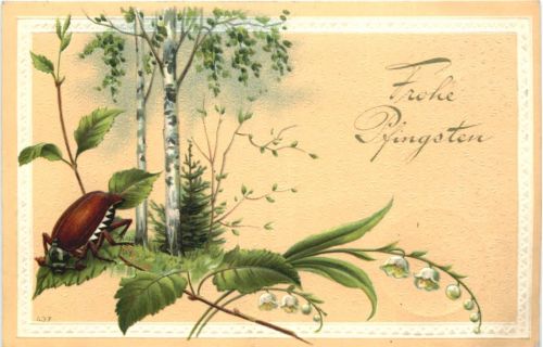 Pfingsten - Maikäfer - Prägekarte