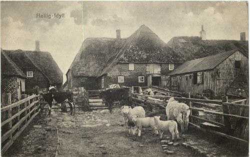 Hallig-Idyll