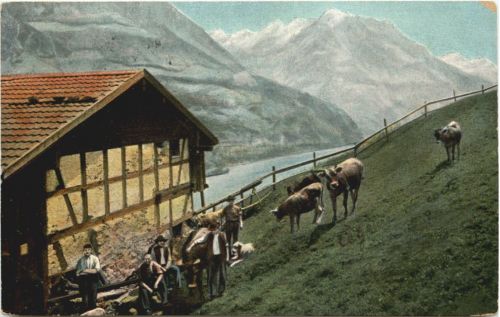 Auf der Alp gelaufen in Breslau
