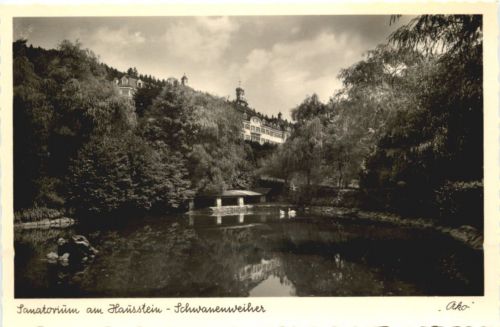 Sanatorium am Hausstein - Schwanenweiher