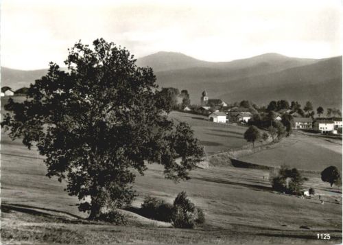 Kurort Lam m. Arber