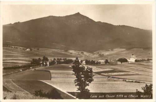 Lam mit Osser