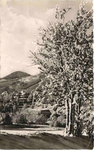 Kurort Jonsdorf mit Lausche