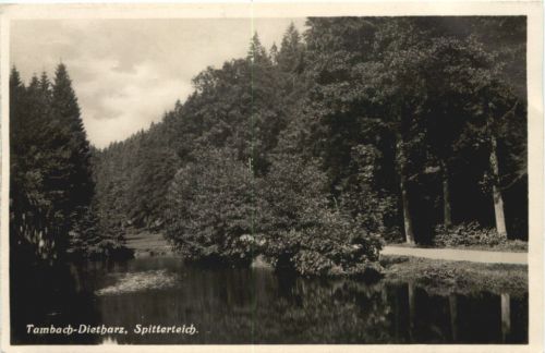 Tambach - Dietharz, Spitterteich