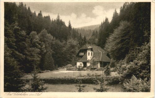 Das Glöckchen im Tal Thür.Wald, Oberhof-Gehlberg