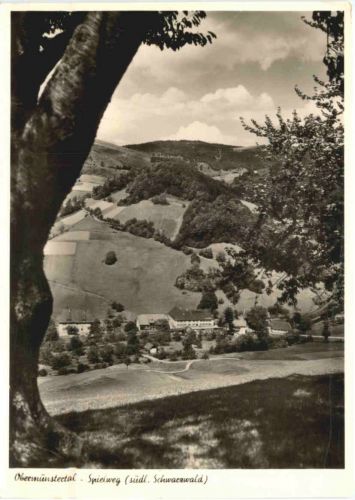 Spielweg Südl. Schwarzwald, Obermünstertal