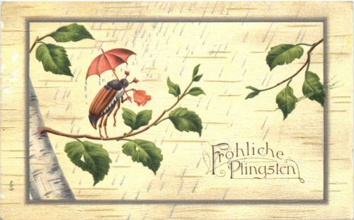 Pfingsten - Maikäfer - Prägekarte