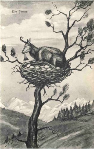 Vorderdux - Die Jemse - Kufstein