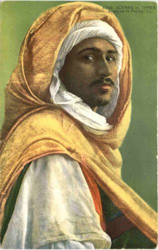 Arabe de la Plaine