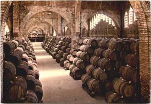 Cavas Codorniu - Weinkeller