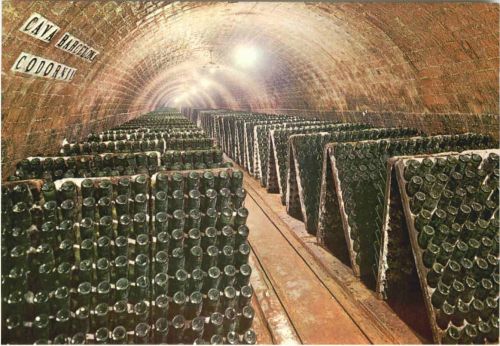 Cavas Codorniu - Weinkeller