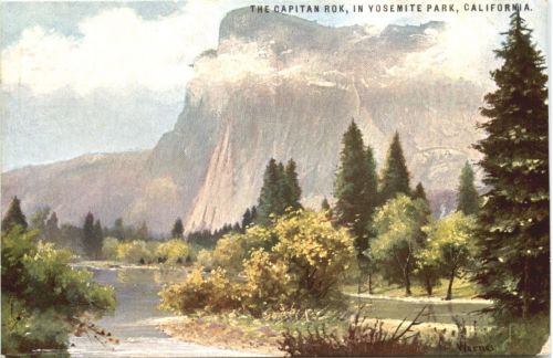 California - Yosemite Park - Künstler Ak Werner