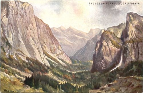 California - Yosemite Park - Künstler Ak Werner