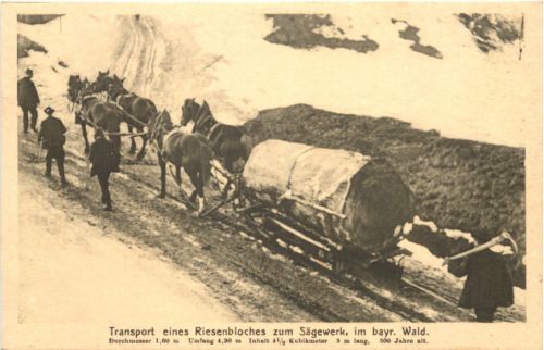 Bayerischer Wald - Transport eines Riesenbloches zum Sägewerk