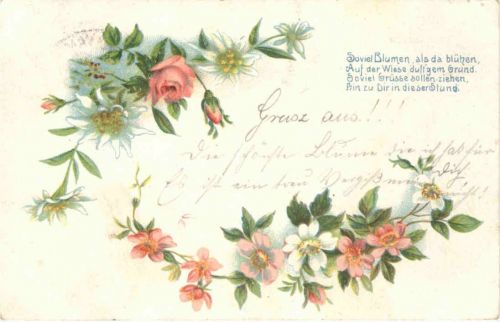 Blumen - Bahnpost Hamburg - Vamdrup