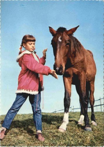 Kind mit Pferd