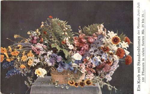 Karlstadt - Ein Korb mit Staudenblumen