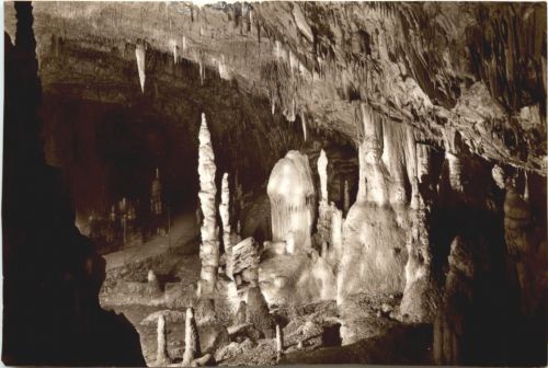 Trieste - Grotte Demaniali di Postumia