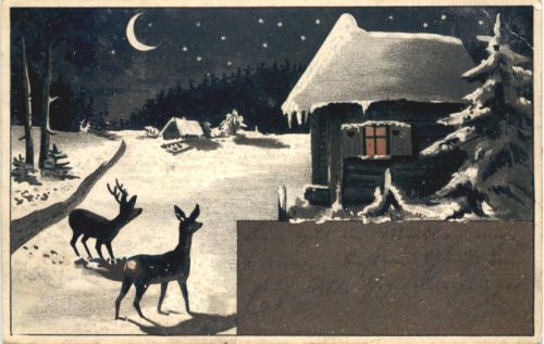 Bei Nacht Rehe