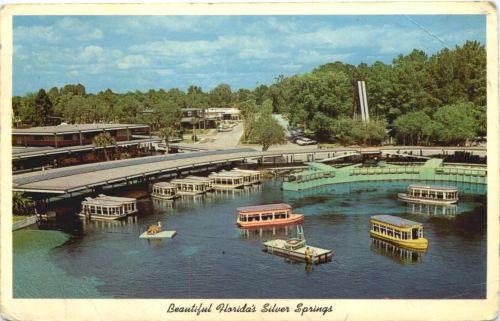 Florida Silver Springs