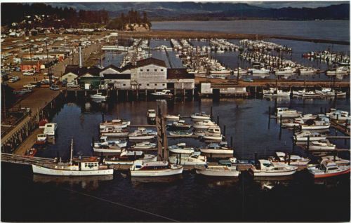 Port Basin - Ilwaco