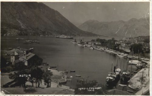 Kotor