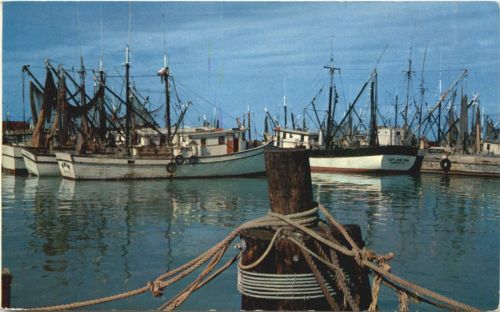Florida - The Shrimp fleet