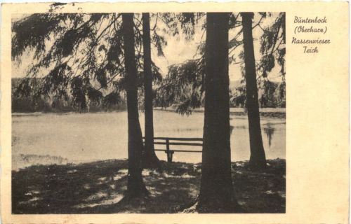 Buntenbock - Nassenwieser Teich - Clausthal