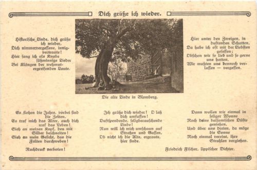 Die alte Linde in Blomberg