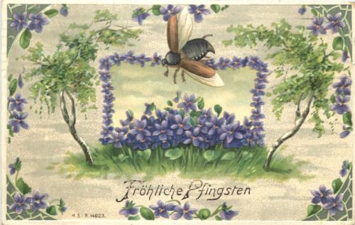 Pfingsten - Maikäfer - Prägekarte