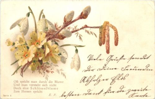 Blume - Schlüsselblume